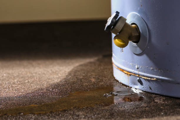 Best Water damage restoration near me  in Bryan, OH