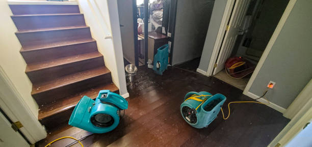Best Emergency water damage restoration  in Bryan, OH