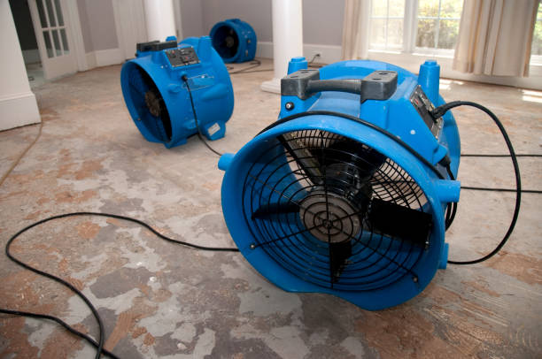 Best Residential water damage restoration  in Bryan, OH