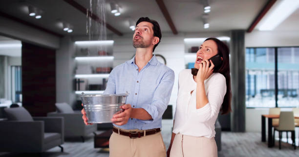 Best Local water damage restoration  in Bryan, OH