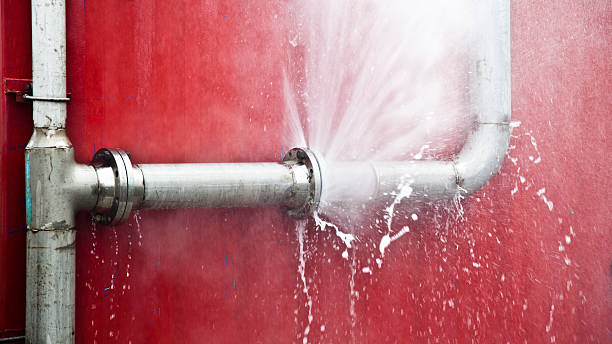 Best Basement water damage restoration  in Bryan, OH